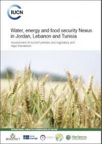 Water, energy and food security nexus in Jordan, Lebanon and Tunisia