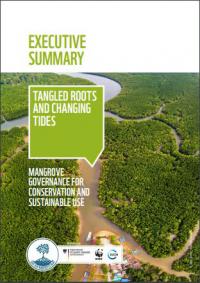 Executive summary : tangled roots and changing tides