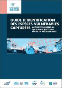 Guide d'identification des espèces vulnérables capturées accidentellement au cours d'activités de pêche en Méditerranée