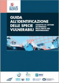 Guida all'identificazione delle specie vulnerabili oggetto di catture accidentali della pesca nel Mediterraneo