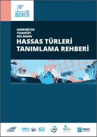 Akdeniz’de tesadüfi avlanan hassas türleri tanımlama  rehberi