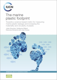 The marine plastic footprint