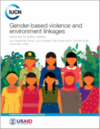 Gender-based violence and environment linkages