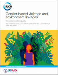 Gender-based violence and environment linkages