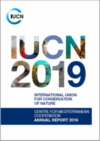 Centre for Mediterranean Cooperation annual report 2019