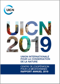 Centre de Coopération pour la Méditerranée rapport annuel 2019