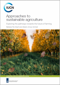 Approaches to sustainable agriculture