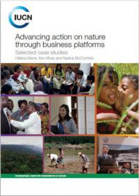 Advancing action on nature through business platforms