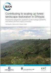 Contributing to scaling up forest landscape restoration in Ethiopia