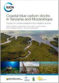 Coastal blue carbon stocks in Tanzania and Mozambique