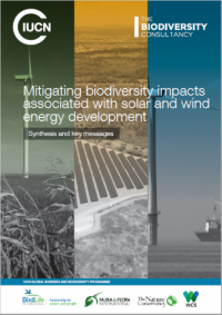 Mitigating biodiversity impacts associated with solar and wind energy development