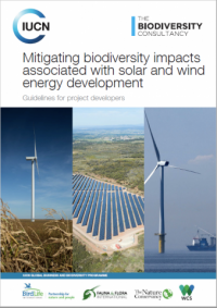 Mitigating biodiversity impacts associated with solar and wind energy development