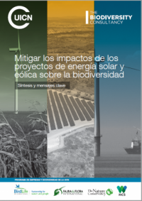 Mitigar los impactos de los proyectos de energía solar y eólica sobre la biodiversidad