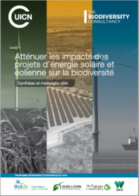 Atténuer les impacts des projets d’énergie solaire et éolienne sur la biodiversité