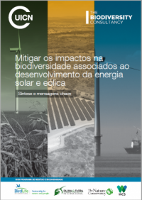 Mitigar os impactos na biodiversidade associados ao desenvolvimento da energia solar e eólica