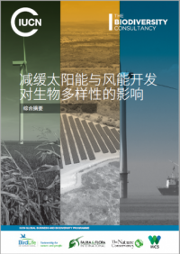 减缓太阳能与风能开发对生物多样性的影响