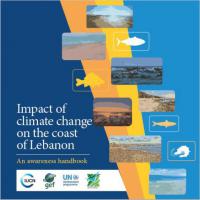 Impact of climate change on the coast of Lebanon