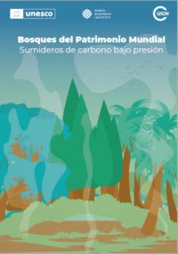 Bosques del Patrimonio Mundial : sumideros de carbono bajo presión