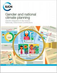 Gender and national climate planning