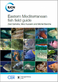 Eastern Mediterranean fish field guide