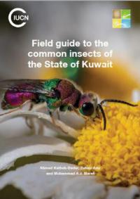 Field guide to the common insects of the State of Kuwait