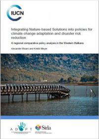 Integrating Nature-based Solutions into policies for climate change adaptation and disaster risk reduction