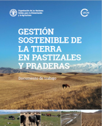 Gestión sostenible de la tierra en pastizales y praderas