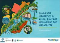 Saving  our mangroves in Kenya, Tanzania, Mozambique and Madagascar