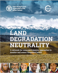 Land degradation neutrality