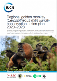 Regional golden monkey (Cercopithecus mitis kandti) conservation action plan 2023–2028