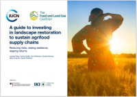 A guide to investing in landscape restoration to sustain agrifood supply chains