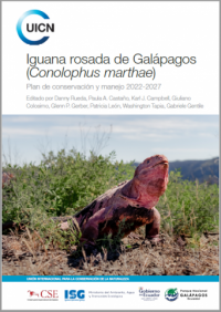 Iguana rosada de Galápagos (Conolophus marthae)
