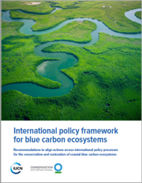 International policy framework for blue carbon ecosystems