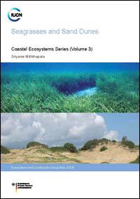 Seagrasses and sand dunes