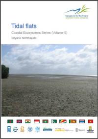 Tidal flats