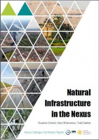 Natural infrastructure in the nexus