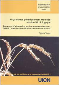 Organismes génétiquement modifiés et sécurité biologique : document d'information sur les questions liées aux OGM à l'intention des décideurs et d'autres acteurs
