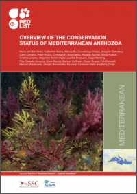 Overview of the conservation status of Mediterranean anthozoa