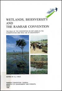 Wetlands, biodiversity and the Ramsar Convention : the role of the Convention on wetlands in the conservation and wise use of biodiversity