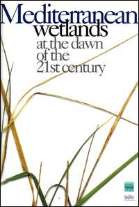 Mediterranean wetlands at the dawn of the 21st century