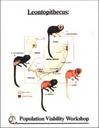 Leontopithecus population analysis workshop report