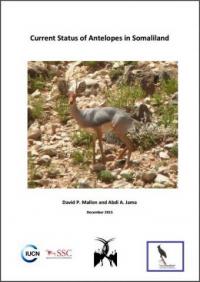 Current status of antelopes in Somaliland