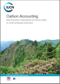 Carbon accounting