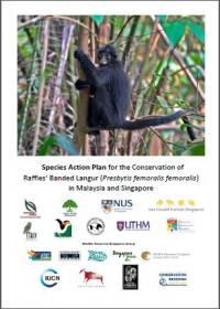 Species action plan for the conservation of Raffles’ banded langur (Presbytis femoralis femoralis) in Malaysia and Singapore