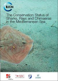 The conservation status of sharks, rays, and chimaeras in the Mediterranean Sea