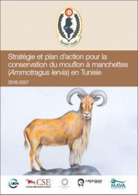 Stratégie et plan d'action pour la conservation du mouflon à manchettes (Ammotragus lervia) en Tunisie
