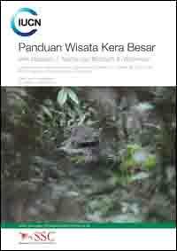 Panduan Wisata Kera Besar