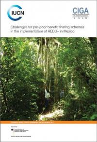 Challenges for pro-poor benefit sharing schemes in the implementation of REDD+ in Mexico