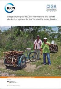 Design of pro-poor REDD+ interventions and benefit distribution systems for the Yucatan Peninsula, Mexico