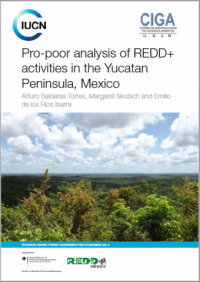 Pro-poor analysis of REDD+ activities in the Yucatan Peninsula, Mexico